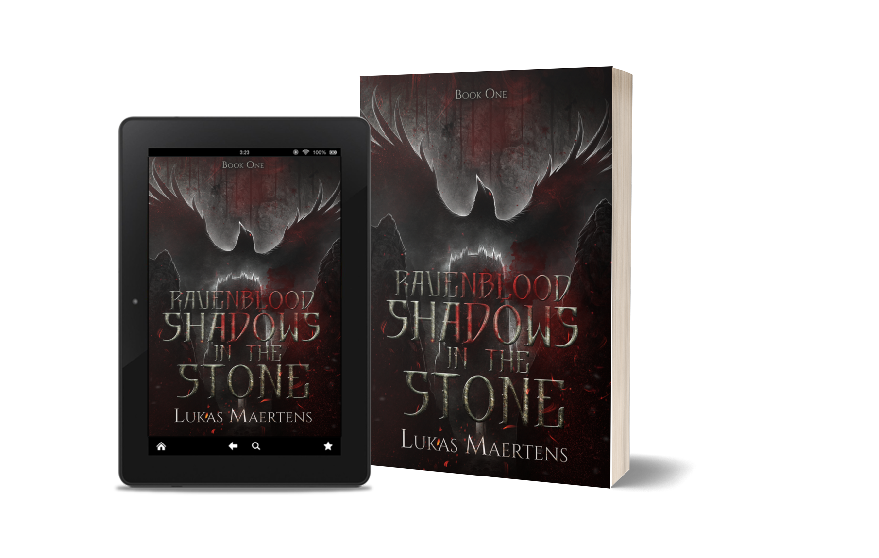 Ravenblood: Shadows in the Stone — book cover